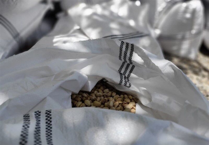 انهدام بزرگترین باند سرقت محمولههای ترانزیتی + عکس