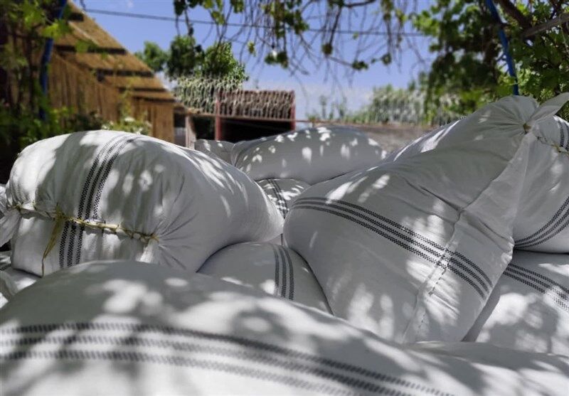 انهدام بزرگترین باند سرقت محمولههای ترانزیتی + عکس