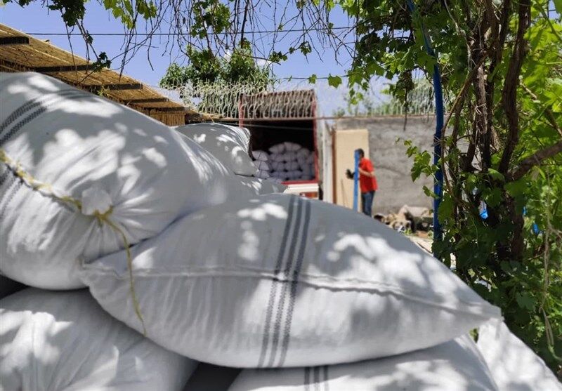 انهدام بزرگترین باند سرقت محمولههای ترانزیتی + عکس