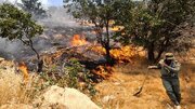 وضعیت جنگل‌های پلدختر بعد از آتش‌سوزی