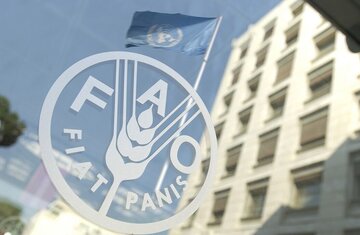 Iran to Become Hub of Food Security in Region: FAO