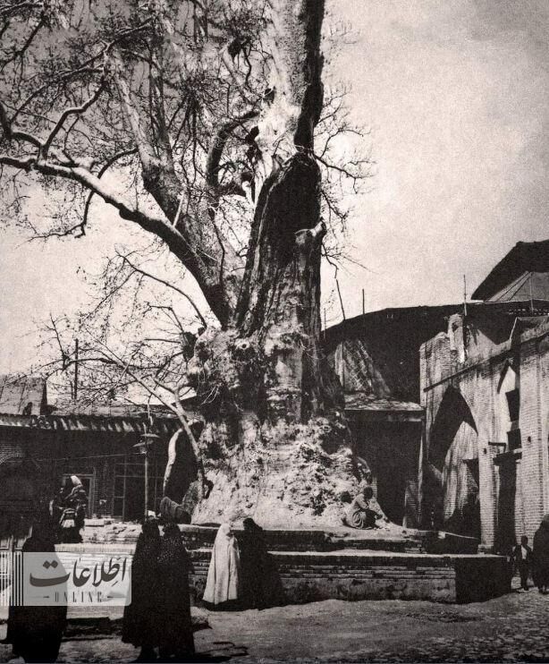 چه کسی ۸۰ سال پیش بقعه امامزاده صالح (ع) را مرمت کرد + عکسهای دیدنی