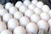 قیمت تخم مرغ بسته ۶ تایی ۳۸ هزار تومان شد! + جدول