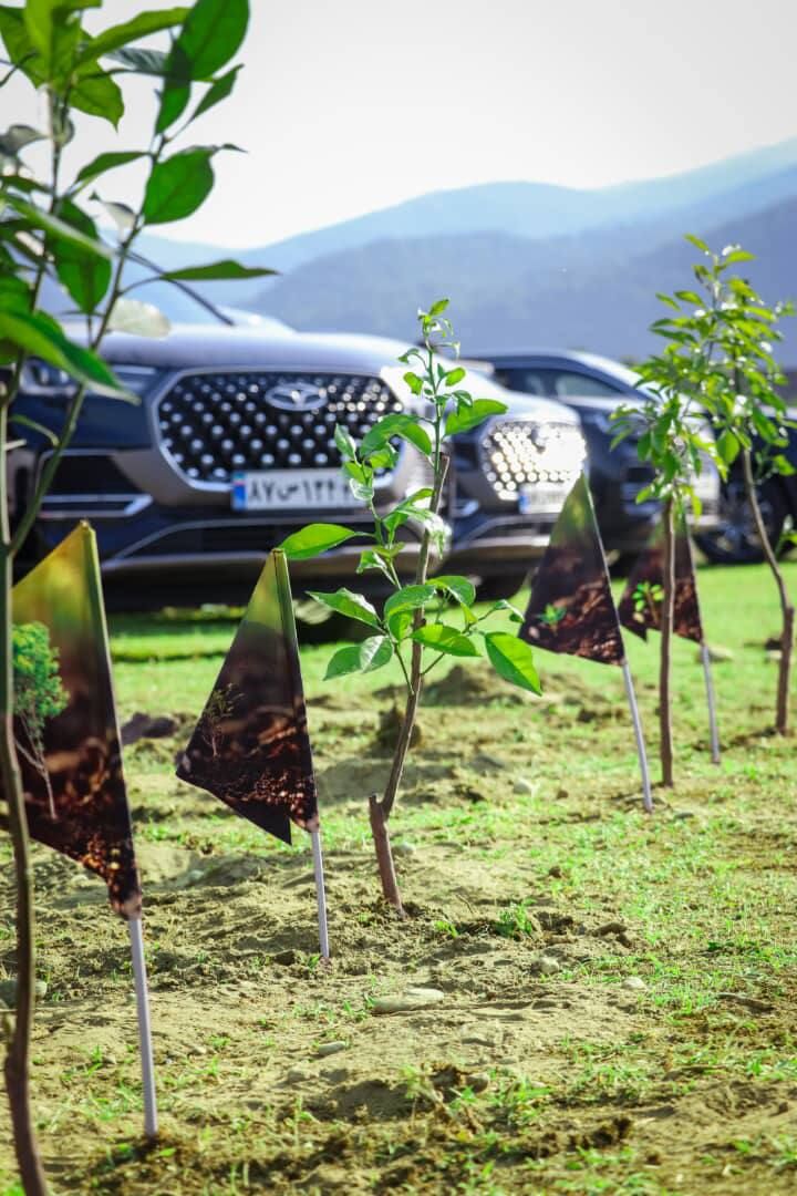 جنگلنوردی و درختکاری دارندگان تیگو ۸ پرو پلاگین هیبرید