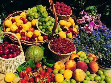 رواج «نیم کیلو» فروشی در بازار میوه/علت گرانی میوه‌های تابستانه چیست؟