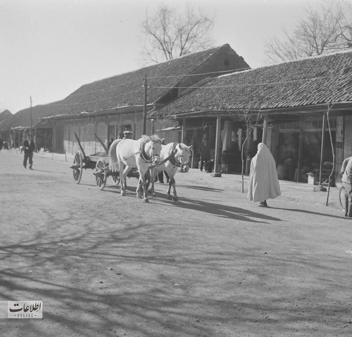 نام قدیم زاهدان، اهواز، بابل و شهرکرد چه بود؟ + عکس