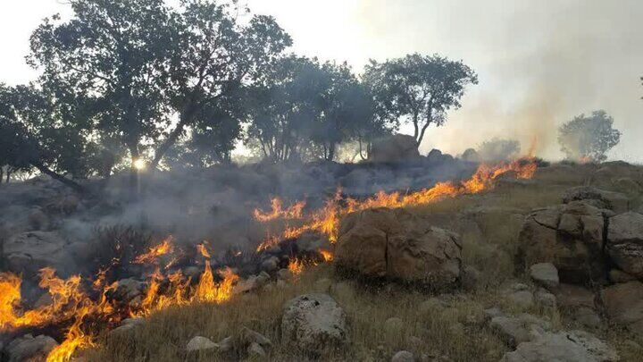آخرین وضعیت آتش‌سوزی جنگل‌های پلدختر