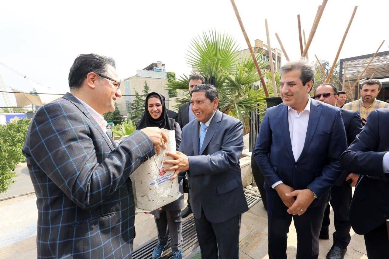 خواهرخواندگی تهران و این شهر/ سرکنسول این کشور خبر داد + عکس