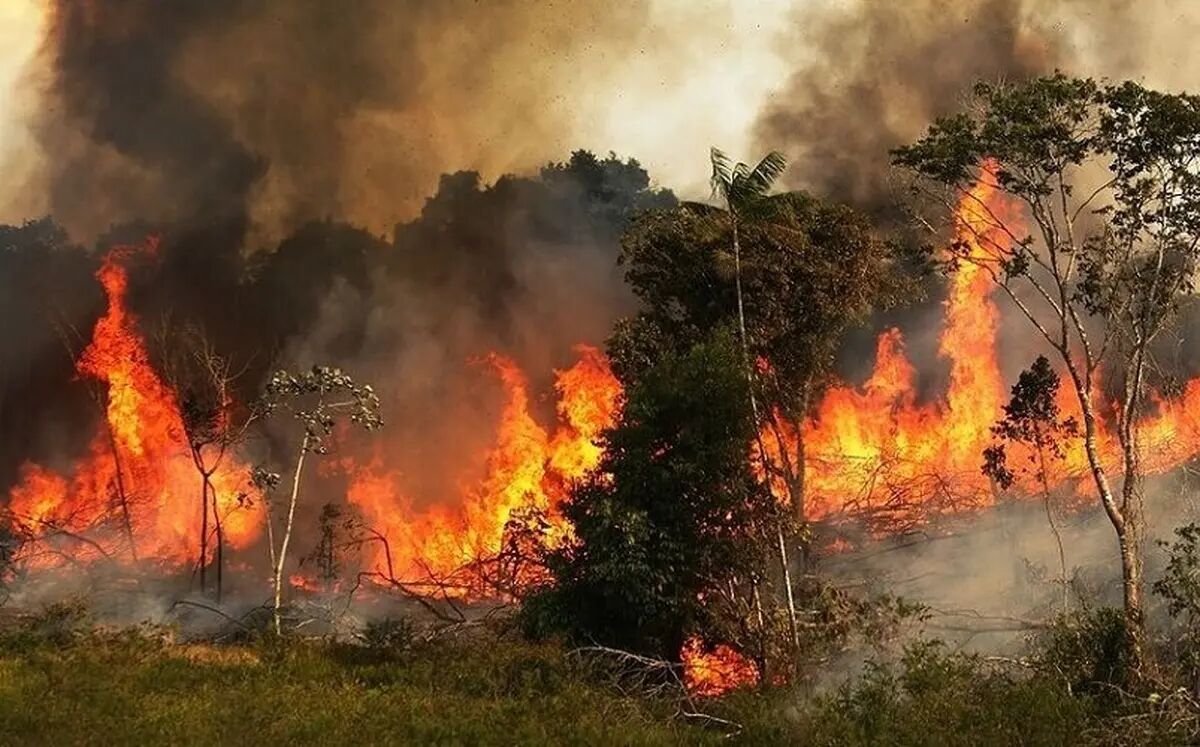 ۱۵ هکتار از جنگل‌های کبیر کوه ایلام در آتش سوخت