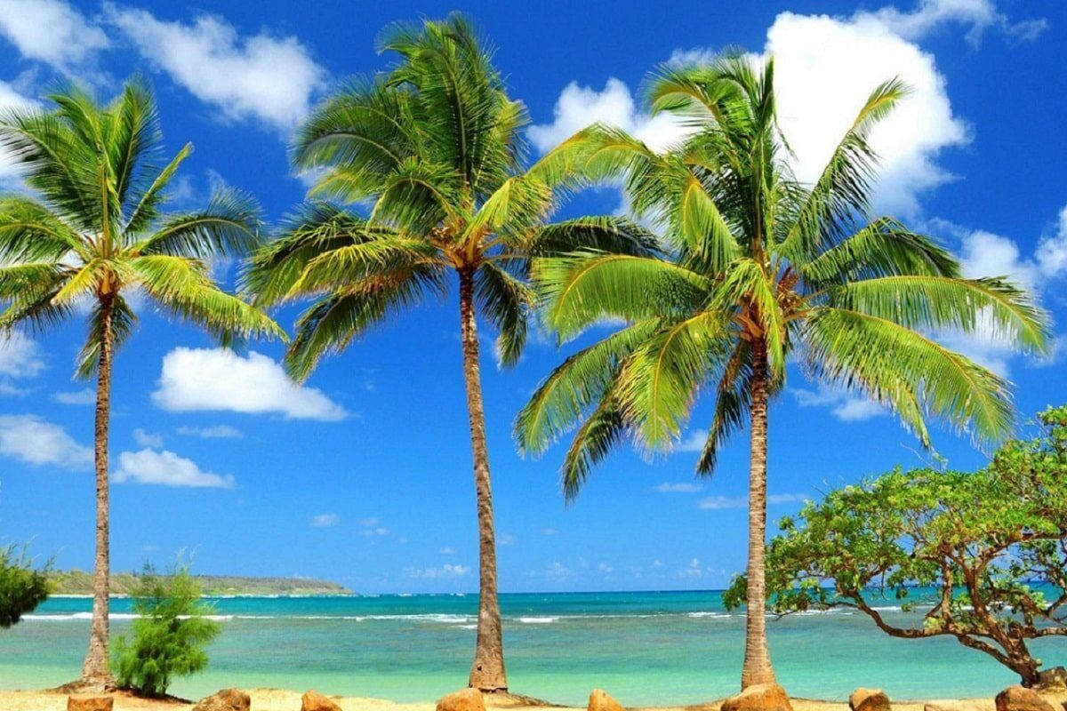 ارزان ترین زمان سفر به کیش - تجربهای تکرار نشدنی