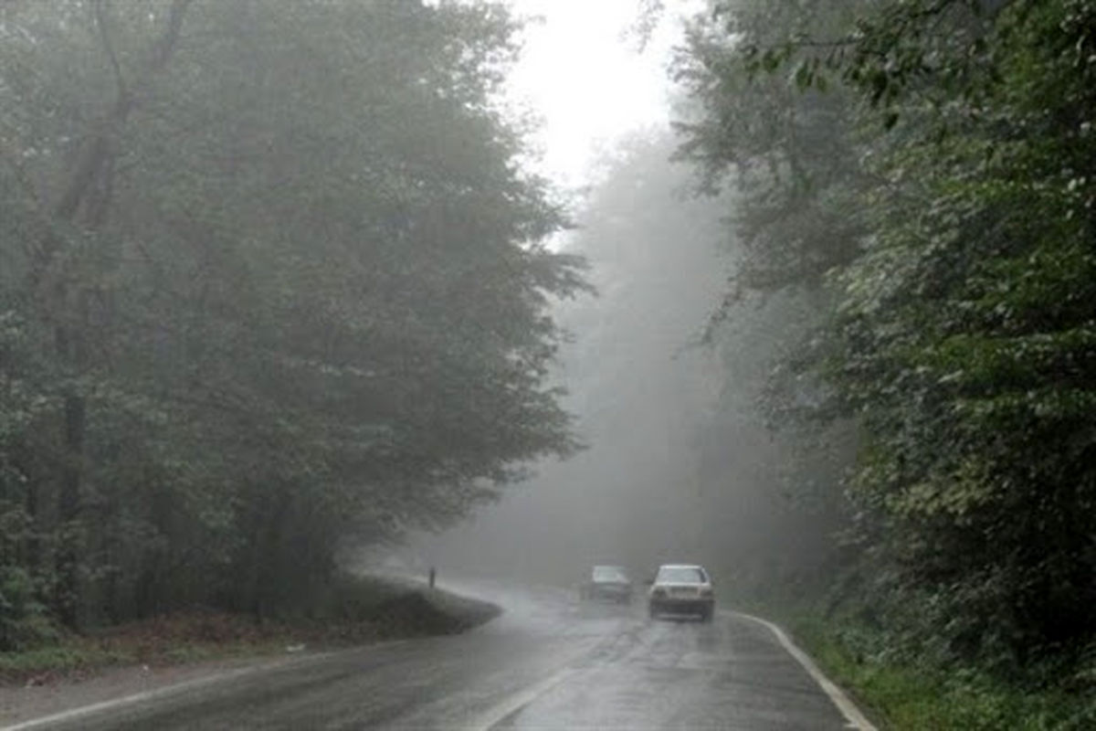 رانندگان جاده چالوس مراقب مه باشند