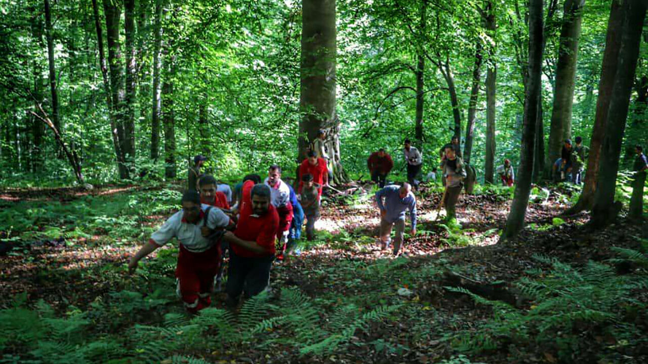 گردشگران گمشده در جنگل‌های رامسر پیدا شدند