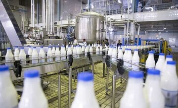Iran’s Mazandaran exports 20 tons of dairies to 20 countries