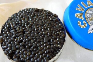 Iran exports over 4 tons of caviar to 38 countries: official
