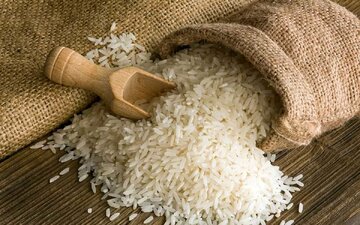 Iran to allocate subsidized currency to rice imports