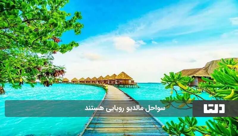 کوچک ترین کشورهای جهان کدام اند؟2