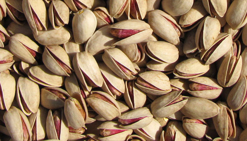 Japanese businessmen keen on export of Zarandiyeh pistachio