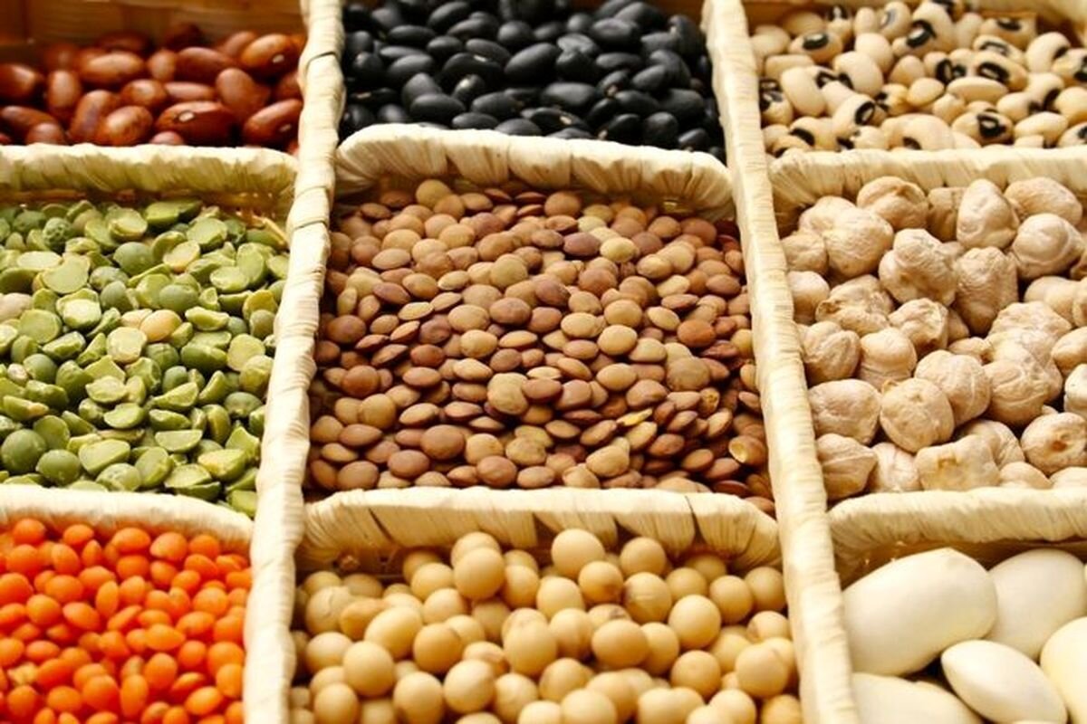 250K Tons of Pulses Imported Annually
