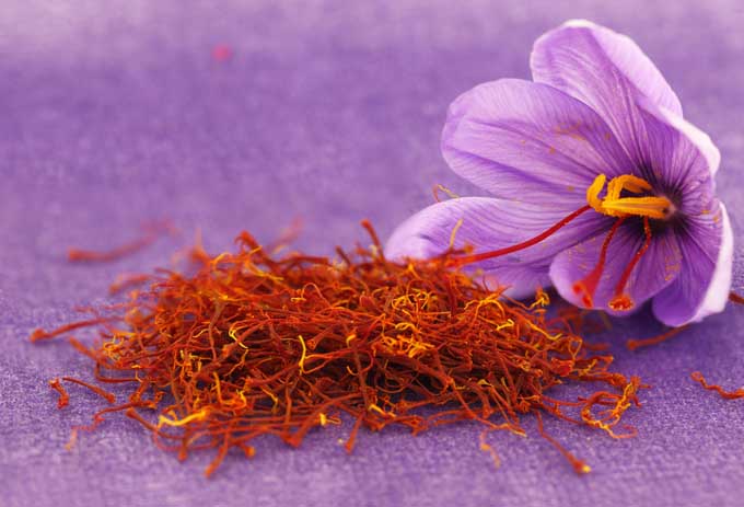 Saffron Exports Rise 35%