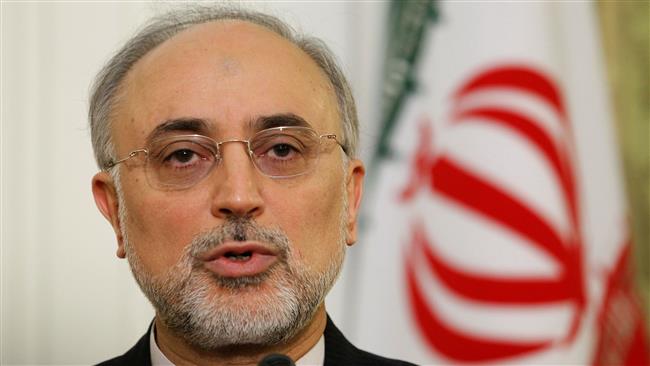 Iran observing US decision on JCPOA: AEOI chief