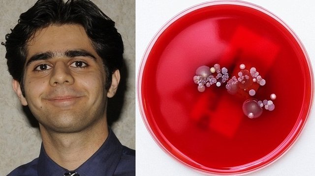 Iran scientist develops method to charge cell phone with bacteria