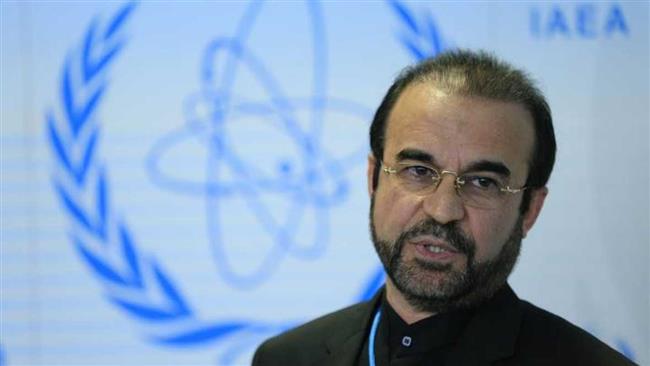 Iran seeks IAEA members' contribution to nuclear power generation