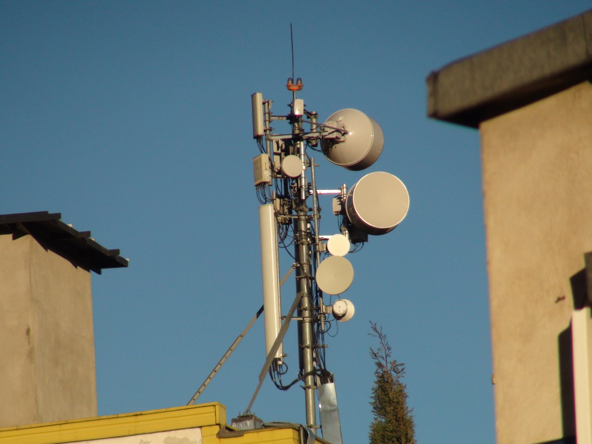 Online Platform to Check Mobile Tower Radiation Pollution Launched