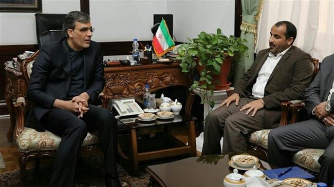 Iranian, Ansarullah officials discuss political solution for Yemen, aid delivery