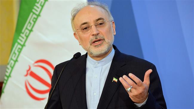 US failing to deliver nuclear deal promises: Salehi