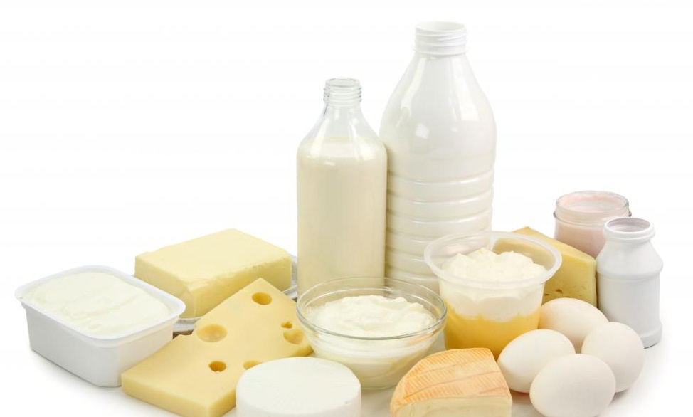 Dairy Products at Forefront of Iranian Food Exports