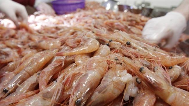 Iran ready for fishery cooperation with Oman