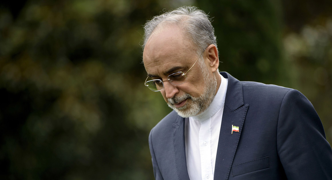 Salehi: JCPOA, good political role model for solving major crises
