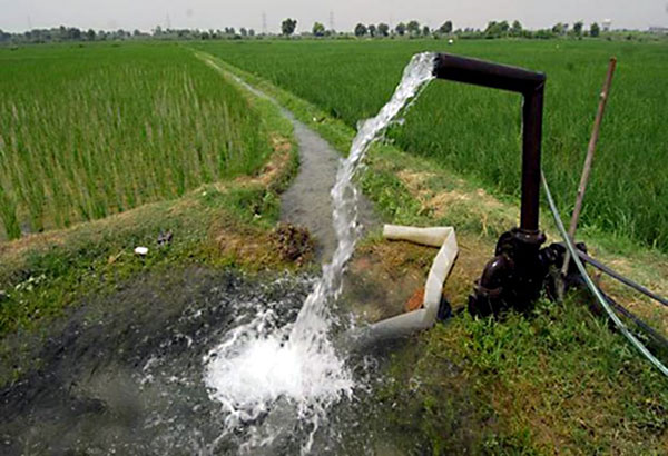 56% of Water Used in Agro Sector Wasted