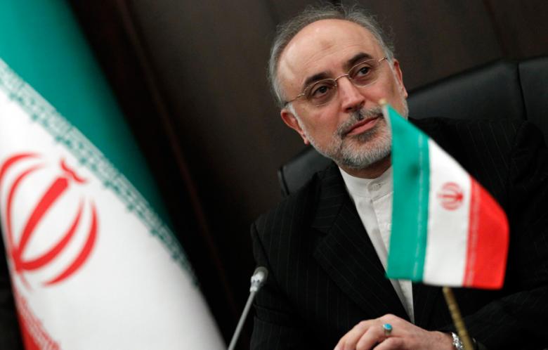 Vice President: Iran to speed up construction of new nuclear plants in Bushehr