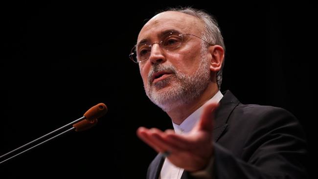 Iran confident IAEA will remain impartial: Nuclear chief