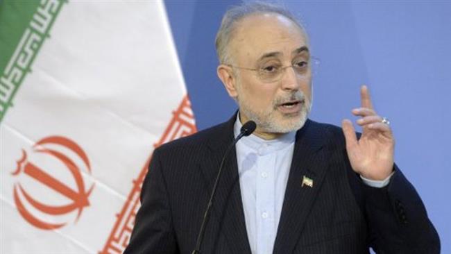 JCPOA will survive if West adheres to commitments: Iran nuclear chief