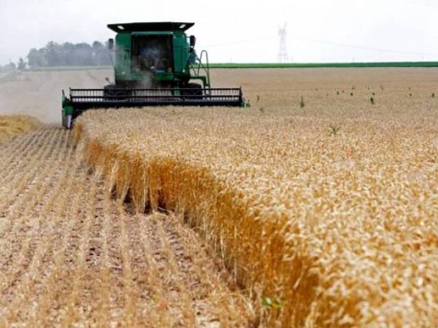 Iran Exporting 3 Million Tons of Surplus Wheat