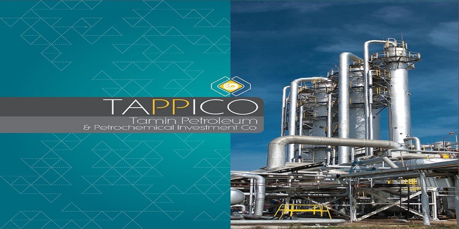 TAPPICO Speeding Up Development Projects