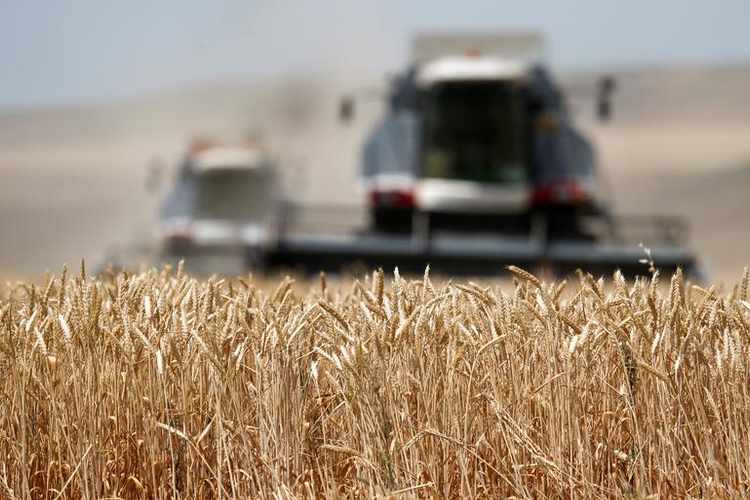 Progress in Financing Wheat Deal With Russia, Kazakhstan