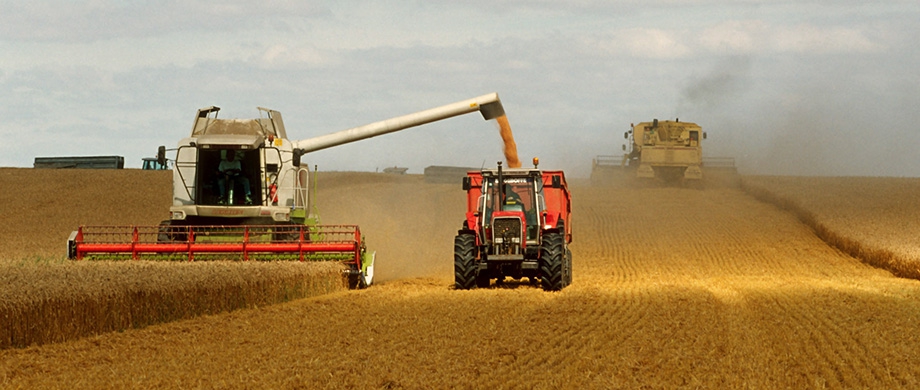 Mechanization Promoting Agro Development