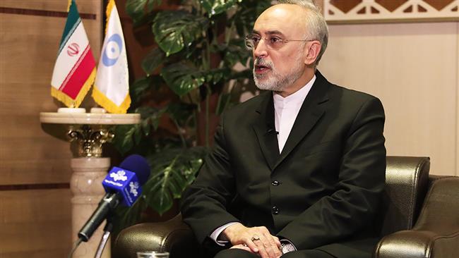 Iran to resume 20-percent enrichment in 5 days if necessary: Nuclear chief