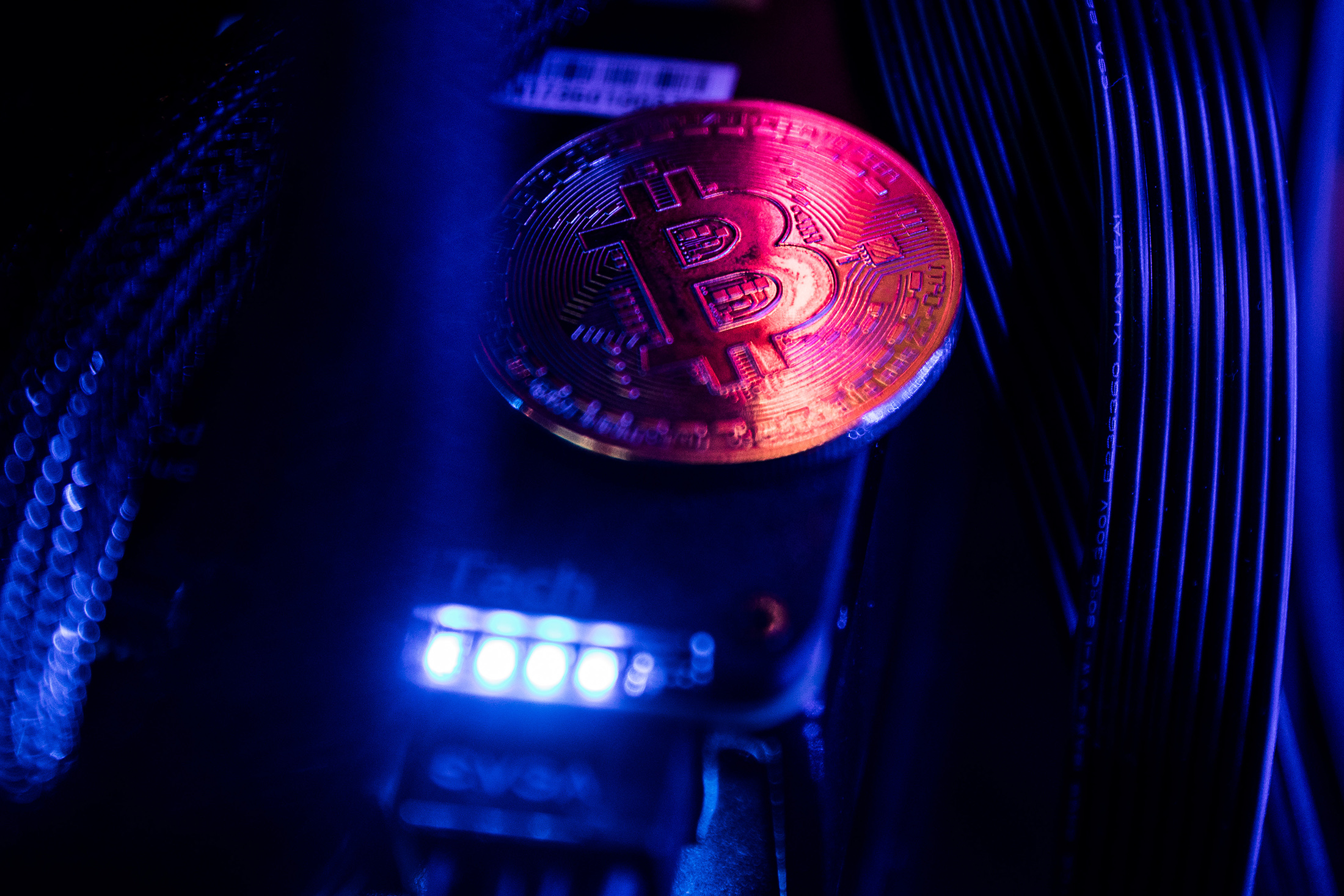 Bitcoin Finds a Bottom During Equity Market Turmoil