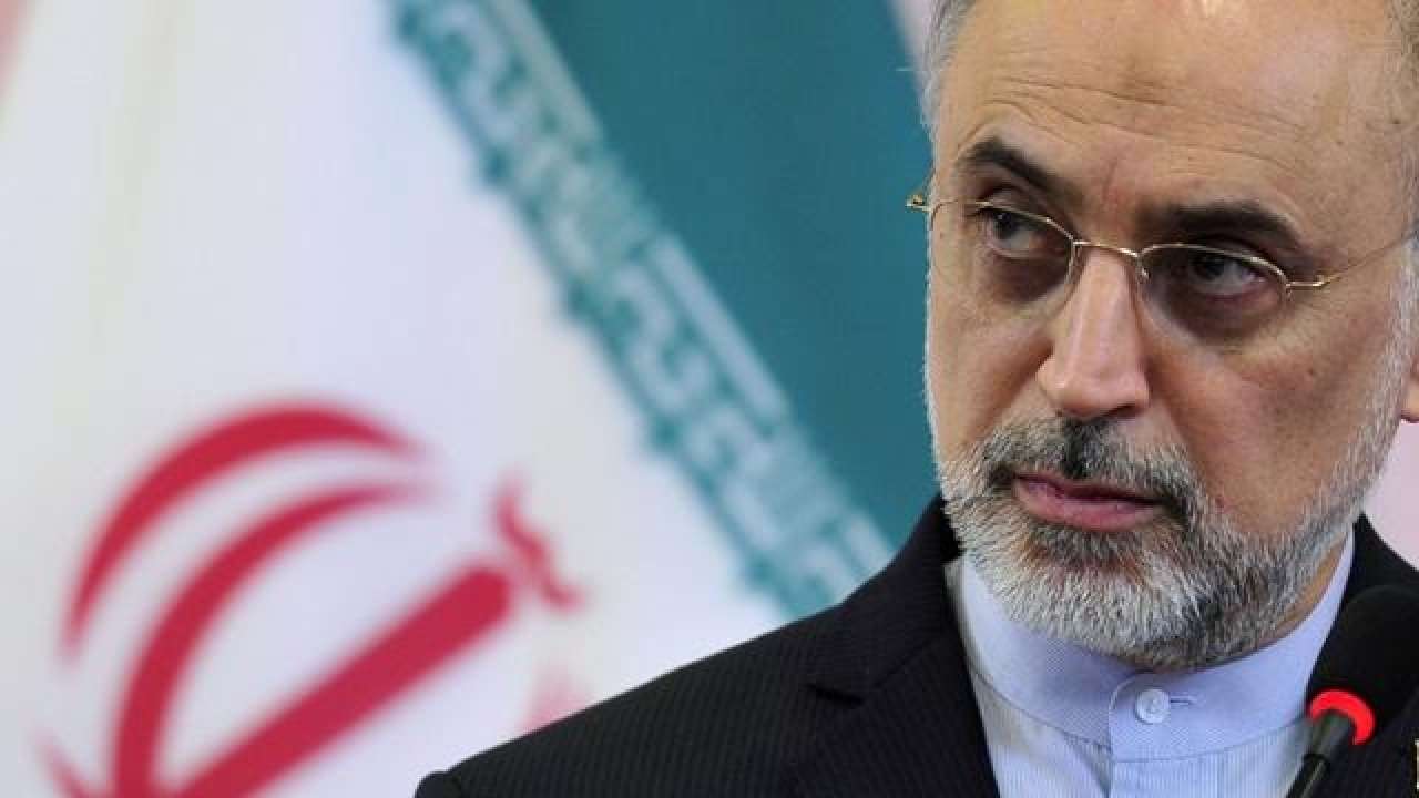 Salehi: JCPOA Crucial for Upholding Multilateralism
