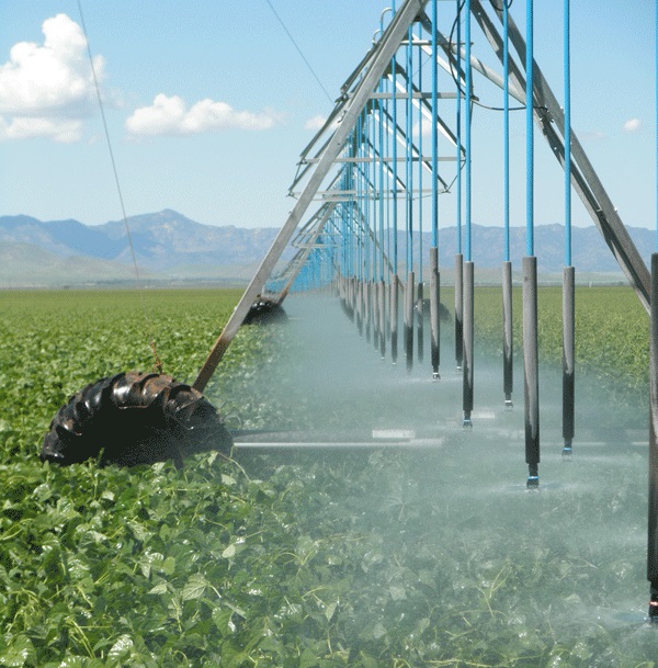 Iran Irrigation Efficiency at 45%