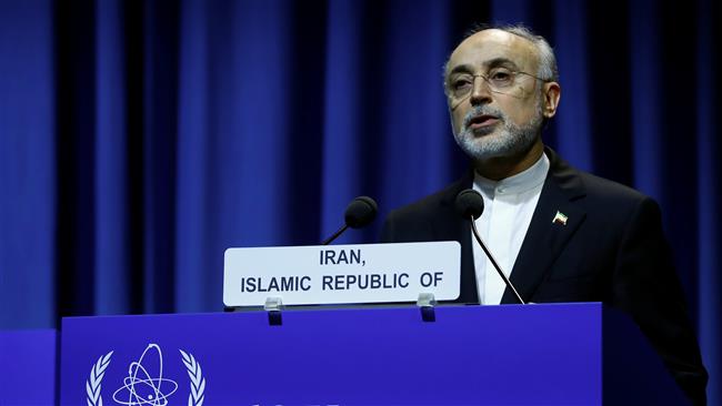 JCPOA not renegotiable: Iran’s nuclear chief