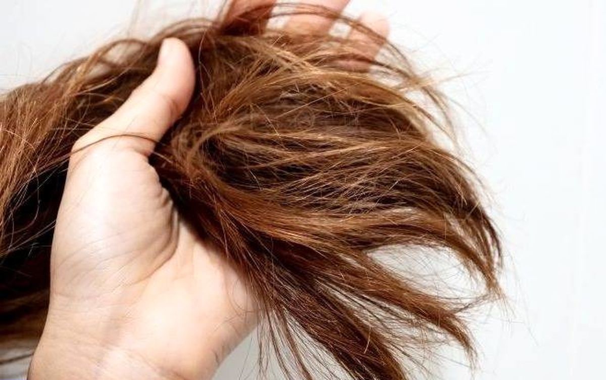 برای درمان موی خشک چه روغنی استفاده کنیم؟ + بهترین ها