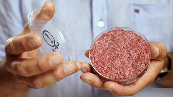 تولید گوشت مصنوعی سرمایه‌گذاری جدید بیل گیتس