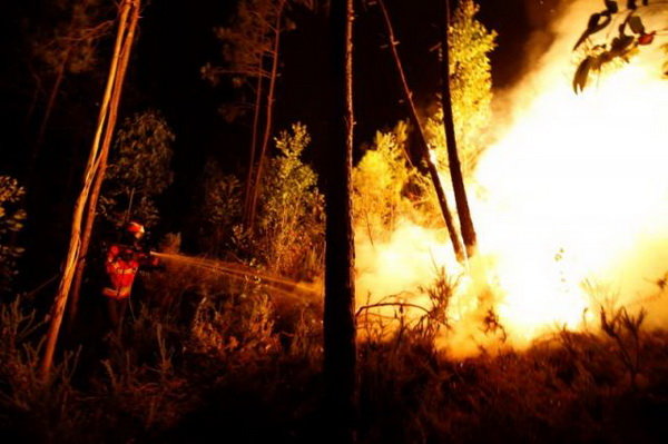 آتش سوزی در حاشیه جنگل خیرودکنار نوشهر
