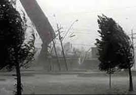 ٢مصدوم ناشی از طوفان در مازندران