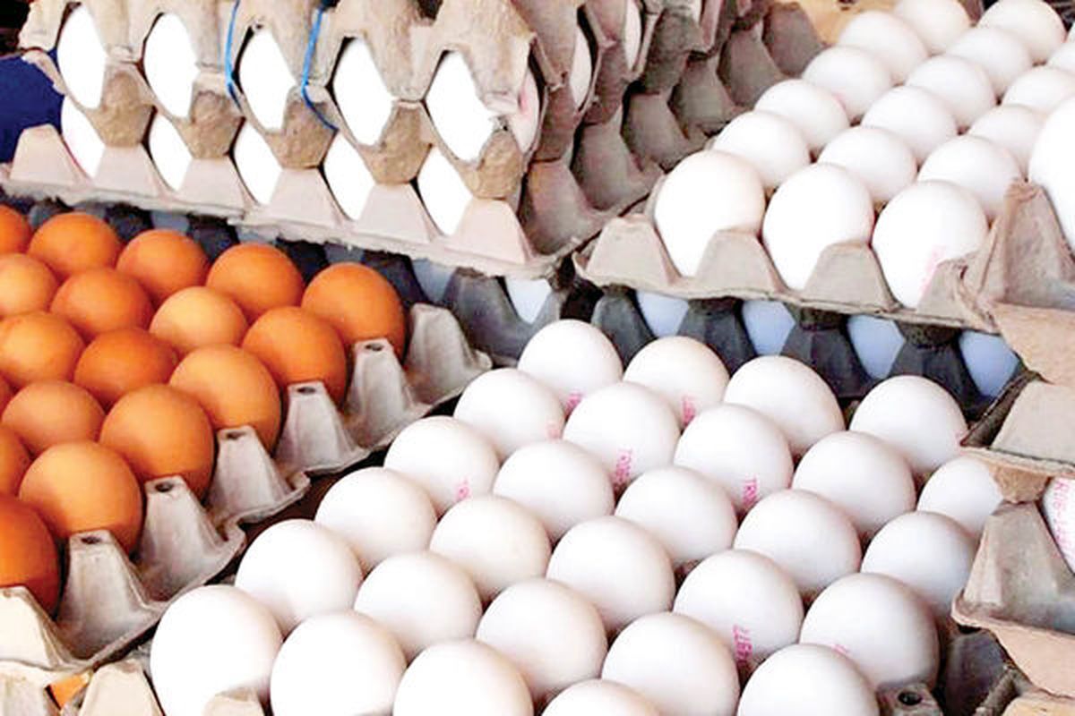 قیمت تخم مرغ بسته بندی شده ۱۲۳ هزار تومان شد! + جدول